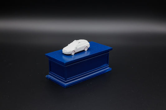 Funkstreifenwagen "FuStW" - Maßstab 1:100